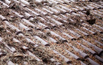 Glanmule roof cleaning companies